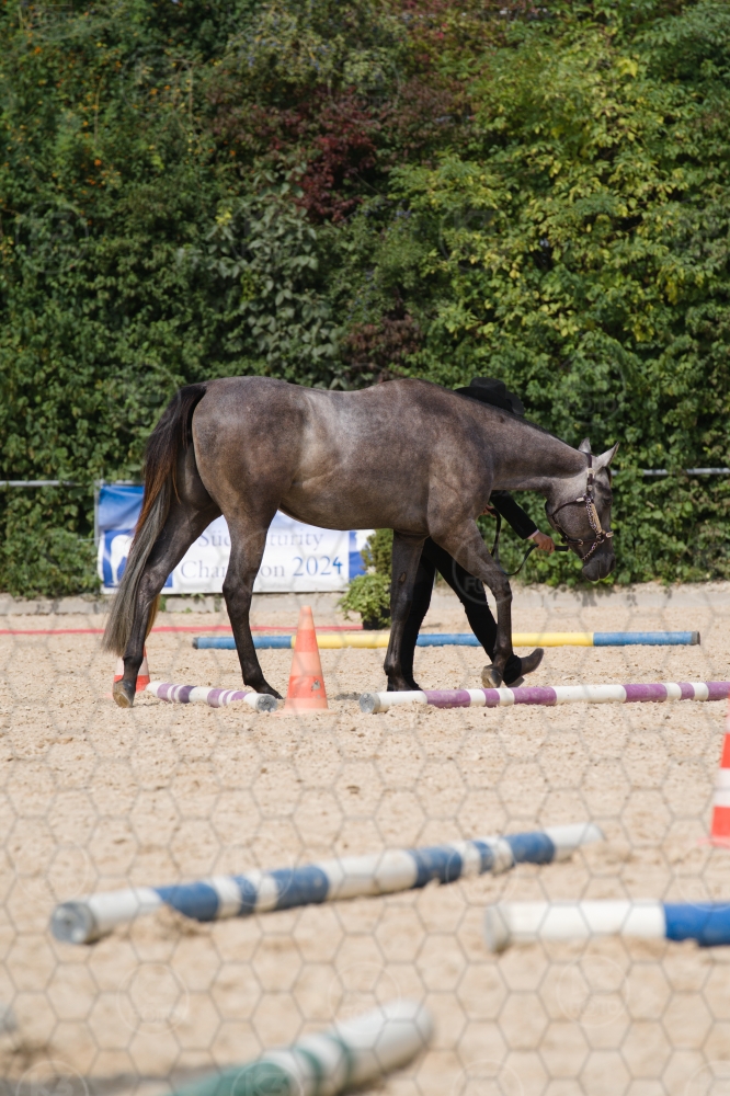 s_batch_A9_00067.jpg